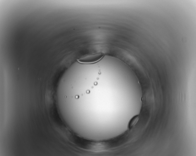 X0000089850218200707051121