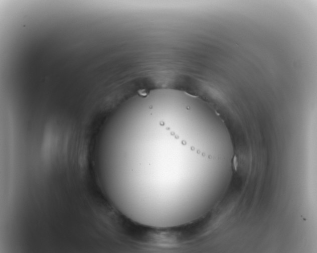X0000089850221200707051121