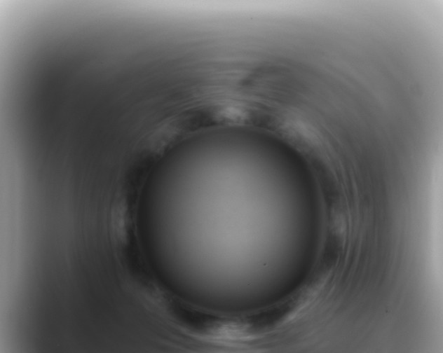 X0000089850223200707051121