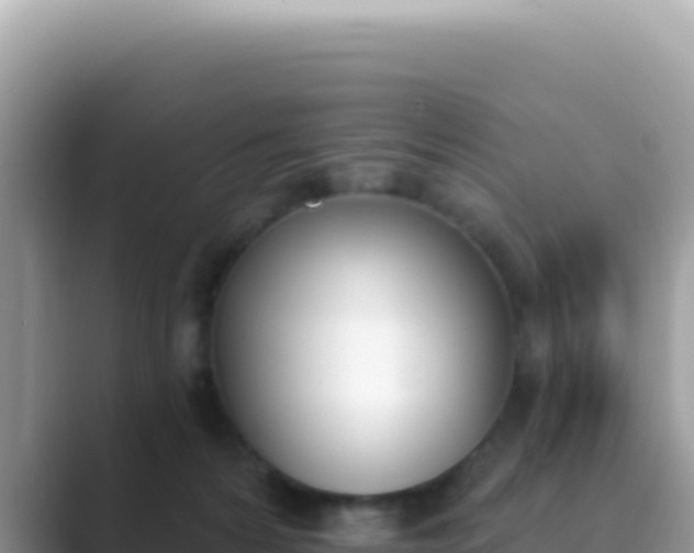X0000089850224200707051121