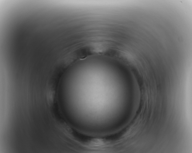 X0000089850227200707051121