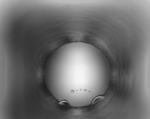 X0000089850228200707051121