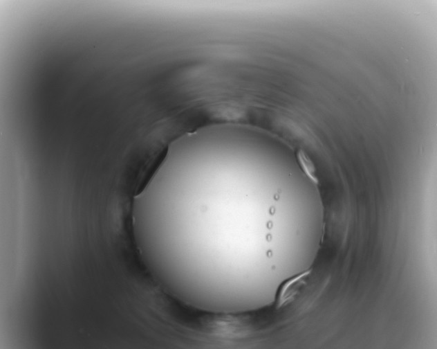 X0000089850229200707051121