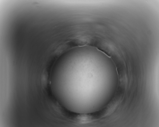 X0000089850231200707051121