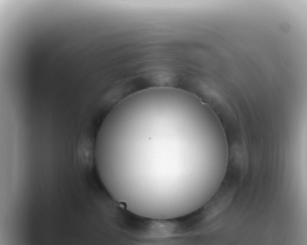 X0000089850234200707051121