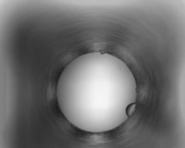X0000089850236200707051121