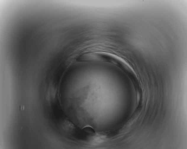 X0000089850239200707051121