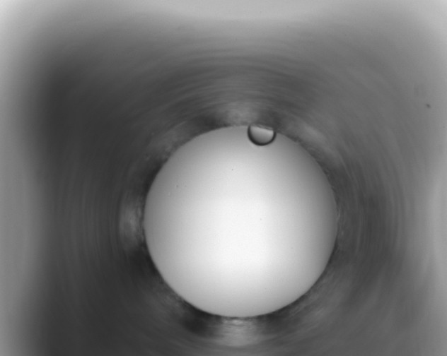 X0000089850240200707051121