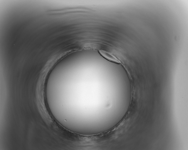 X0000089850241200707051120