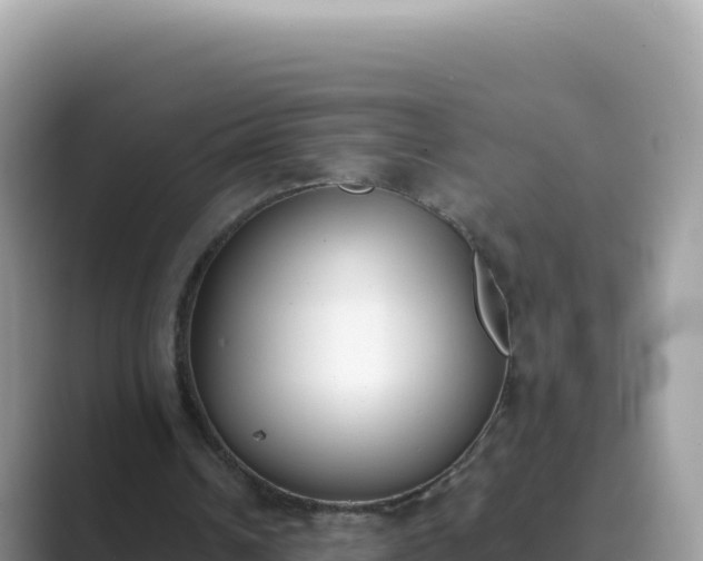 X0000089850242200707051120