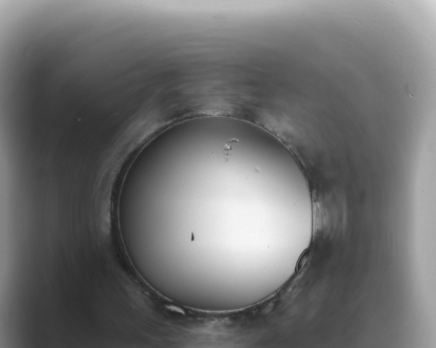 X0000089850243200707051120