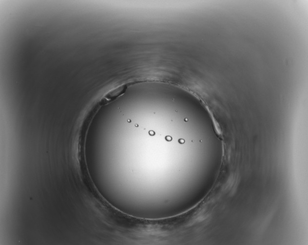 X0000089850244200707051120