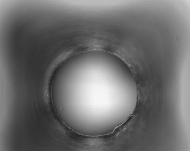 X0000089850245200707051120