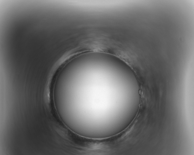 X0000089850246200707051120
