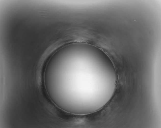 X0000089850247200707051120