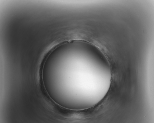X0000089850248200707051120