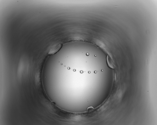 X0000089850249200707051120