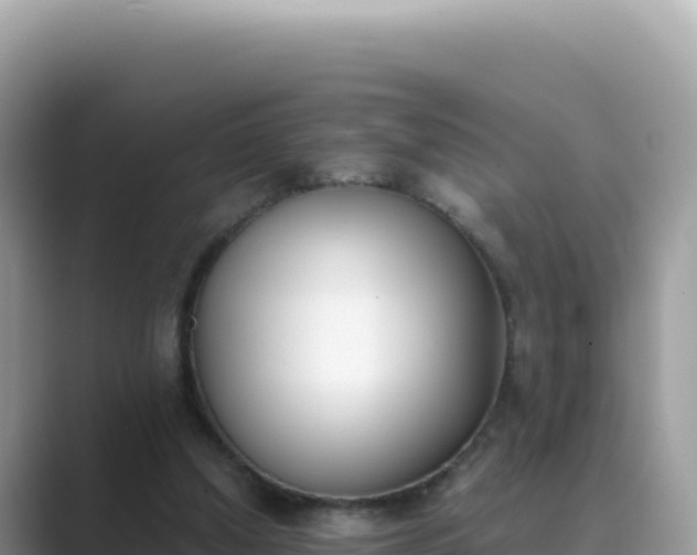 X0000089850250200707051120