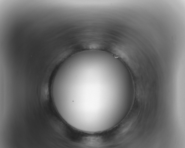 X0000089850251200707051120