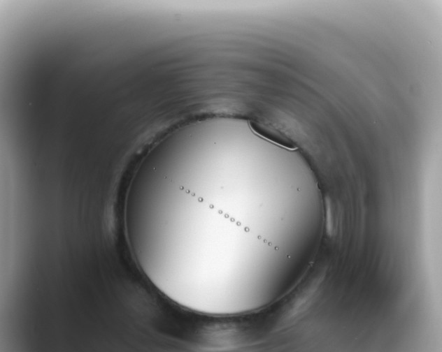 X0000089850252200707051120