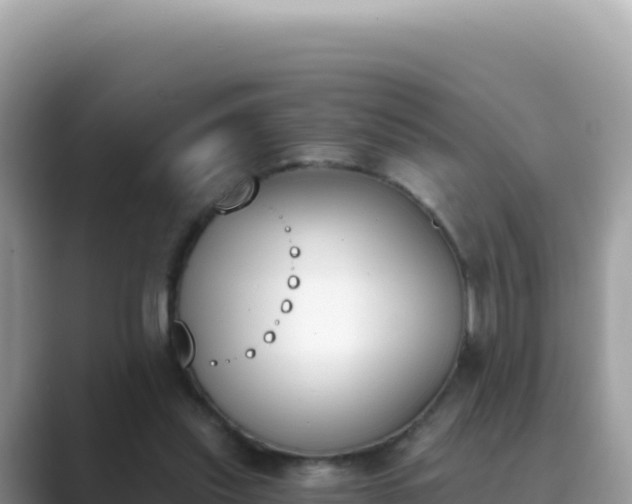 X0000089850253200707051120