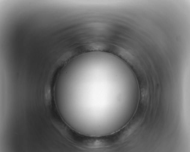 X0000089850254200707051120