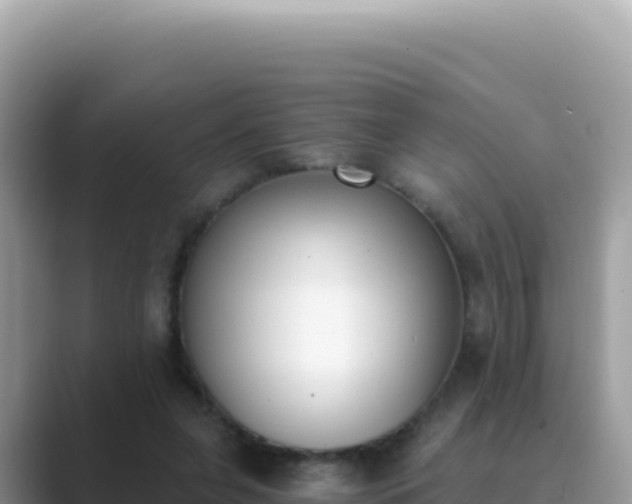 X0000089850255200707051120