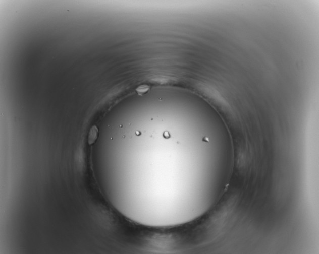 X0000089850256200707051120