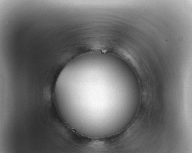 X0000089850257200707051120