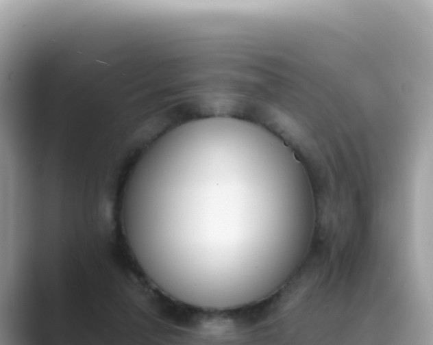 X0000089850258200707051120