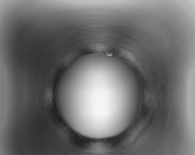 X0000089850259200707051120