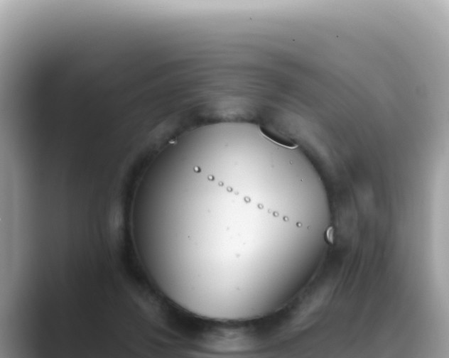 X0000089850260200707051120