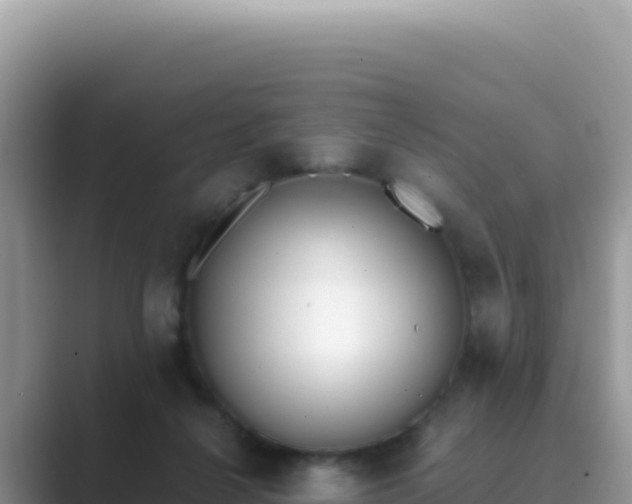 X0000089850264200707051120