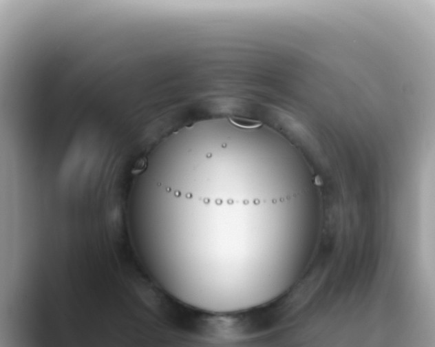 X0000089850265200707051120