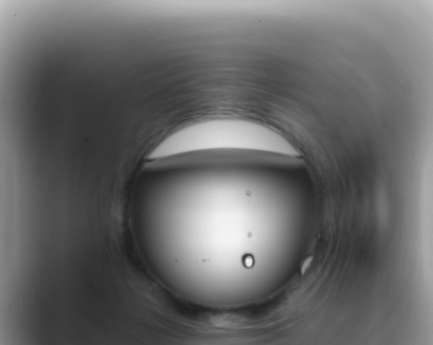 X0000089850268200707051120