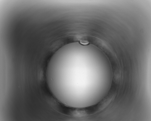 X0000089850270200707051120