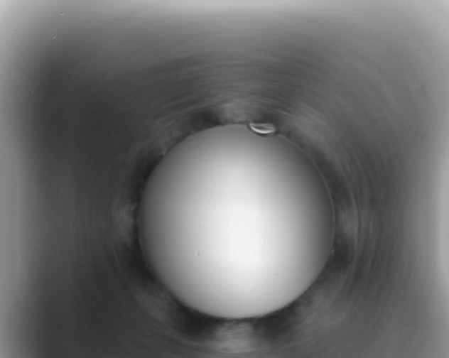 X0000089850271200707051120