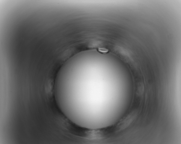 X0000089850273200707051120
