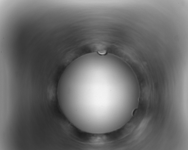 X0000089850274200707051121