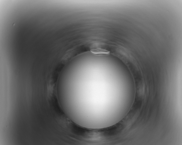 X0000089850276200707051121