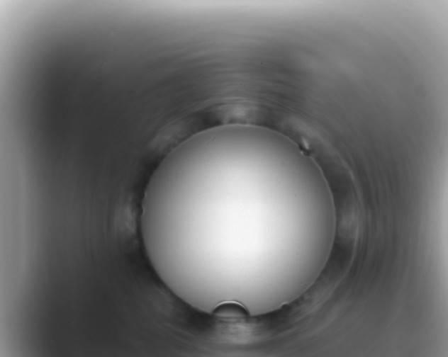 X0000089850282200707051121