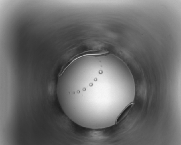 X0000089850283200707051121