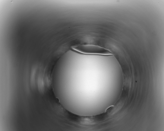 X0000089850285200707051121