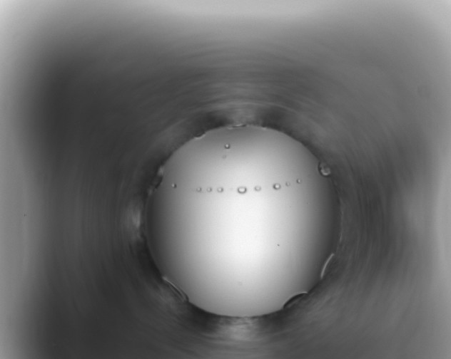 X0000089850288200707051121