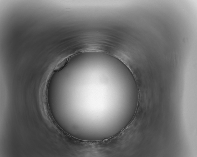 X0000089850289200707051120