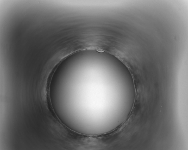 X0000089850290200707051120