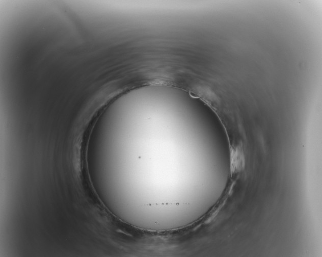 X0000089850291200707051120