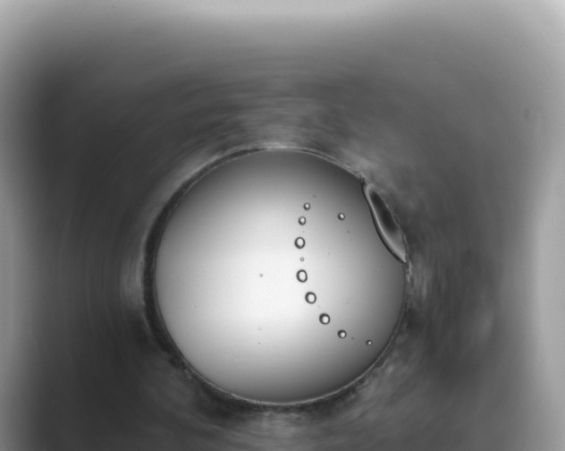 X0000089850292200707051120