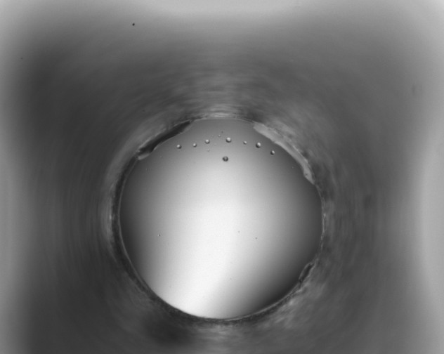X0000089850293200707051120