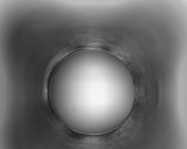 X0000089850294200707051120